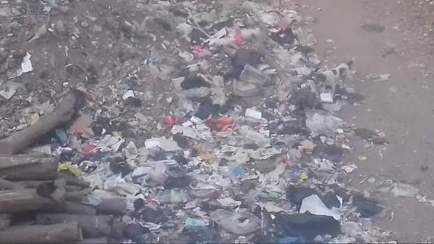 انتشار القمامة بالمنوفية (3)
