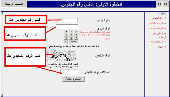 شاشة ( 2 )