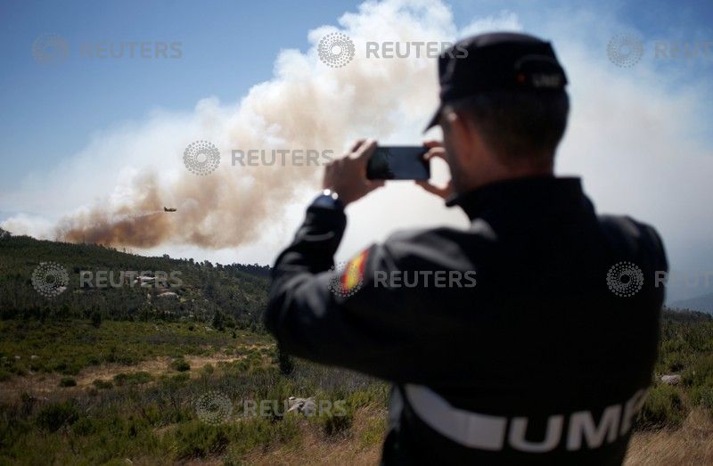 	رجال الإنقاذ تحاول السيطرة على حرائق الغابات