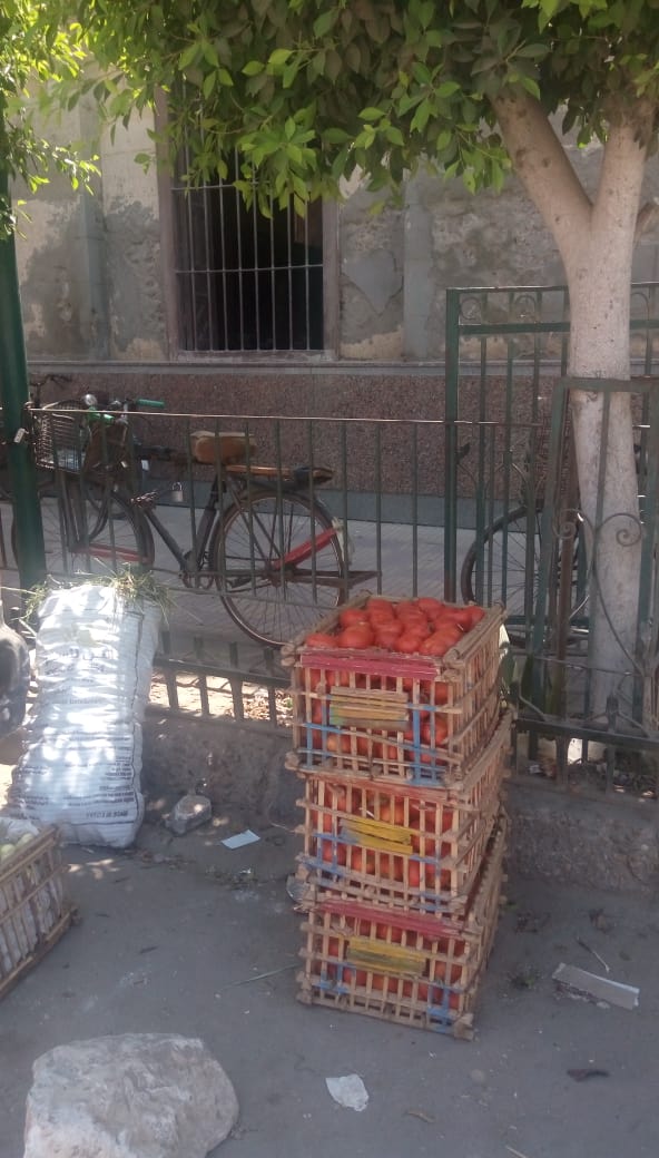 الجامع الكبير الجامع الكبير