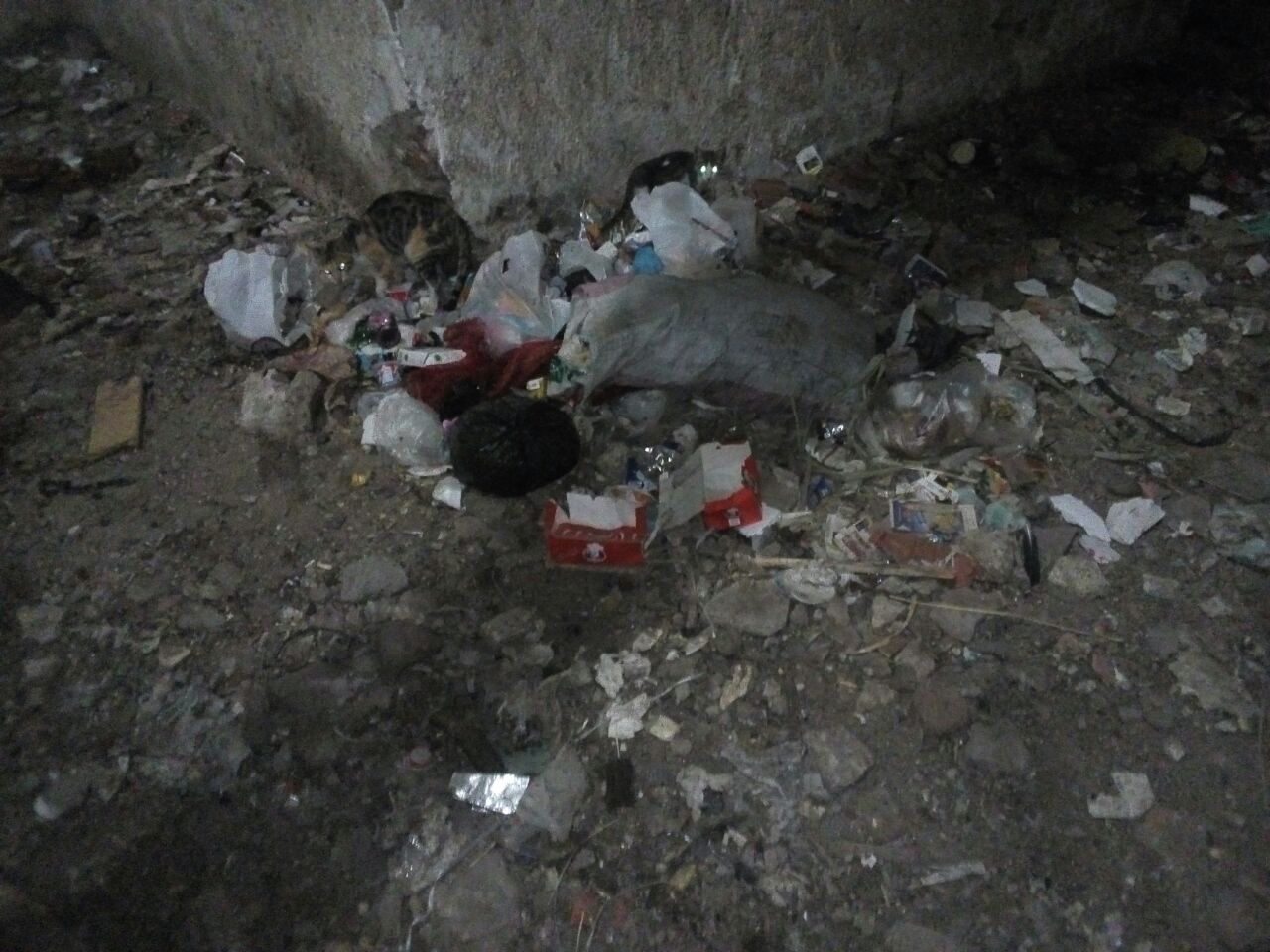 انتشار القمامة بمساكن الأوقاف بقليوب البلد (3)