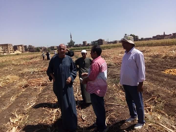 قيادات الزراعة خلال المشاركة فى يوم الحصاد للذرة الشامية بالاقصر