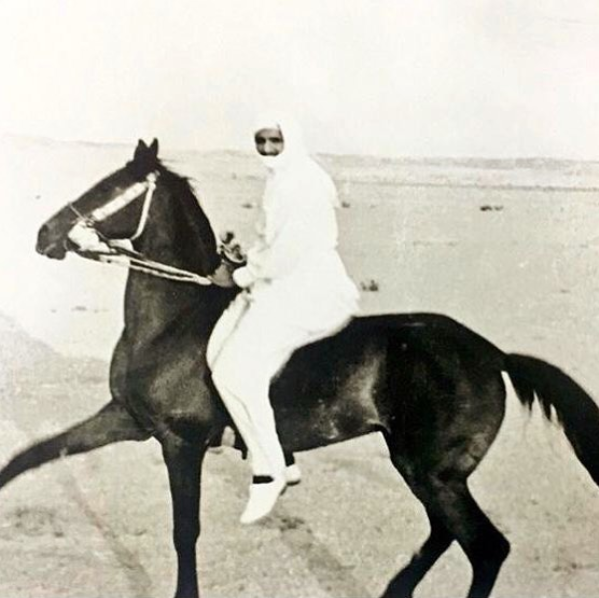 خيول الملك عبدالعزيز