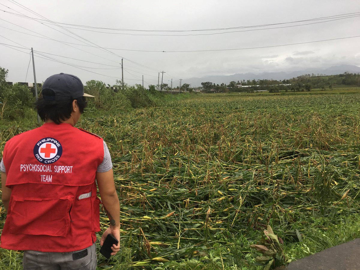 أحد عناصر الصليب الأحمر ينظر للحقول التى دمرها الإعصار