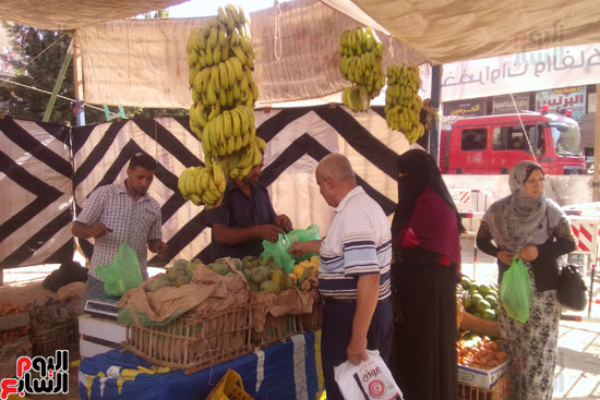 توفير الفواكه في معرض مديرية امن كفر الشيخ