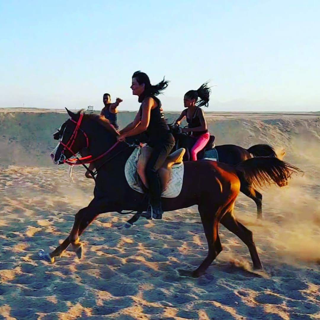 رحلات الخيول فى الصحراء