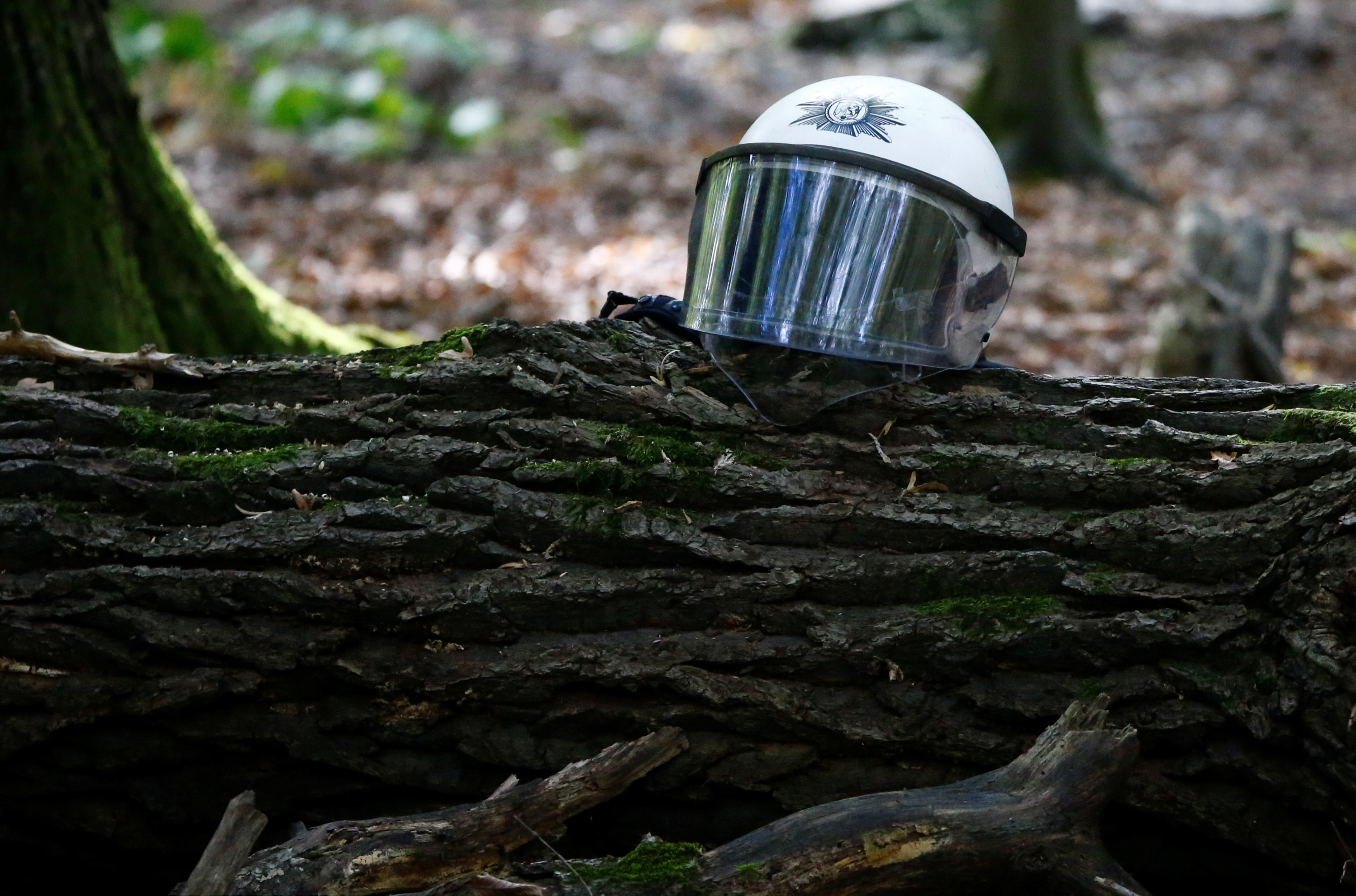 قبعة أحد رجال البوليس الألمانى على أحد أشجار الغابة