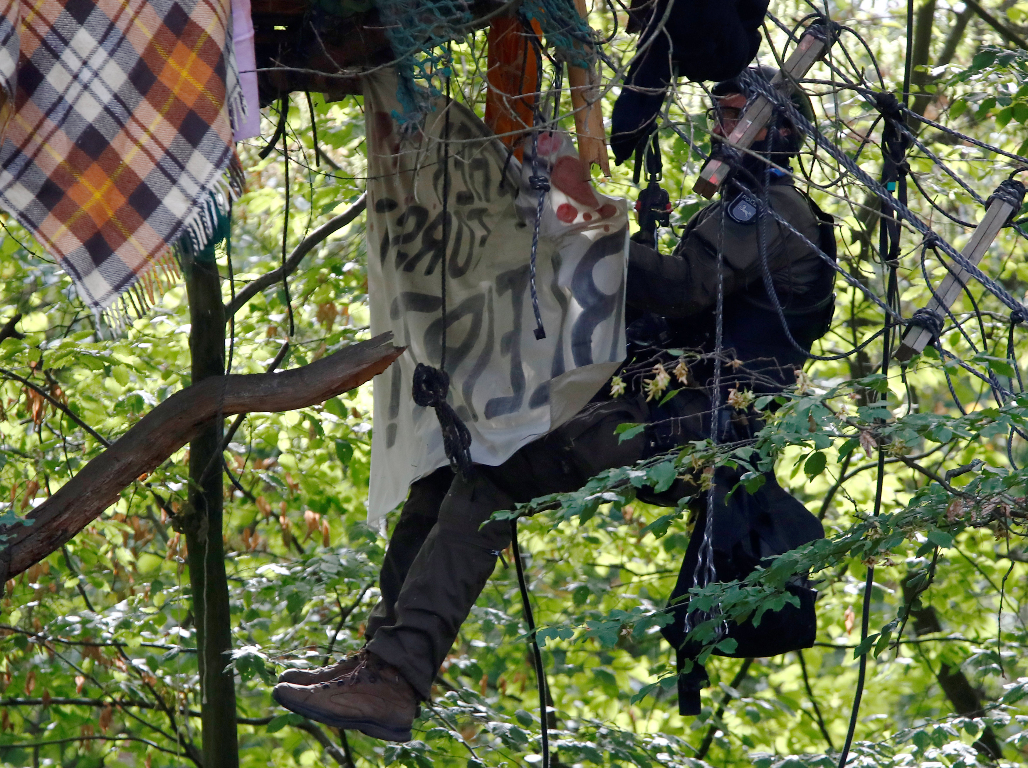 فرد من الشرطة الألمانية يتسلق فوق أحد أشجار الغابة لإزالة اللافتات