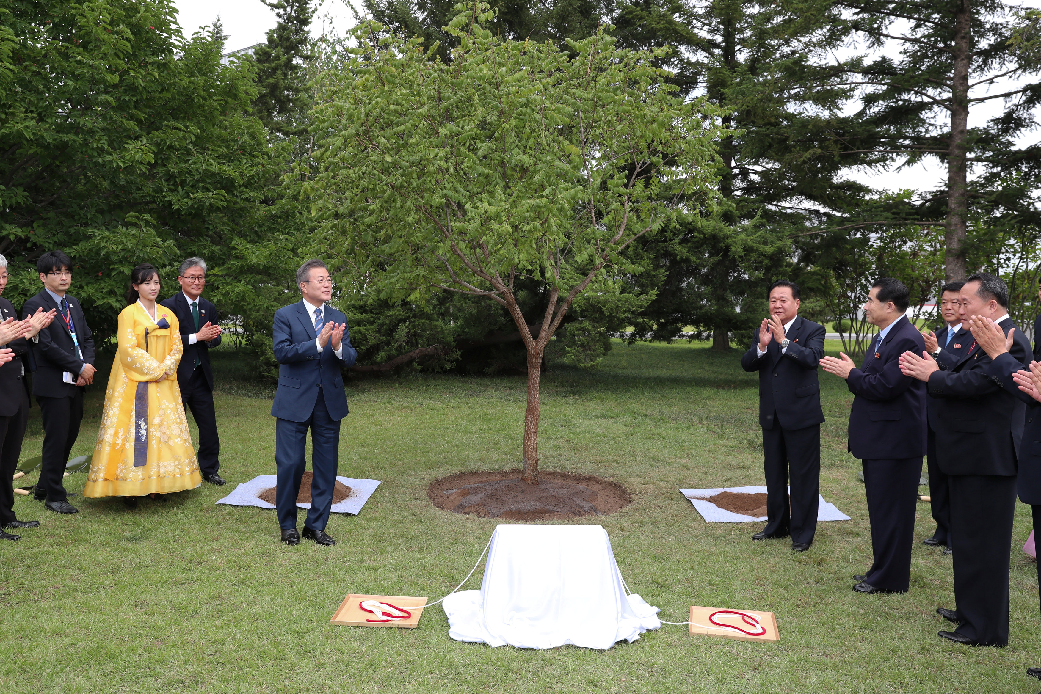 الرئيس الكورى الجنوبى أثناء إزاحة الستار عن شجرة تذكارية فى بيونج يانج