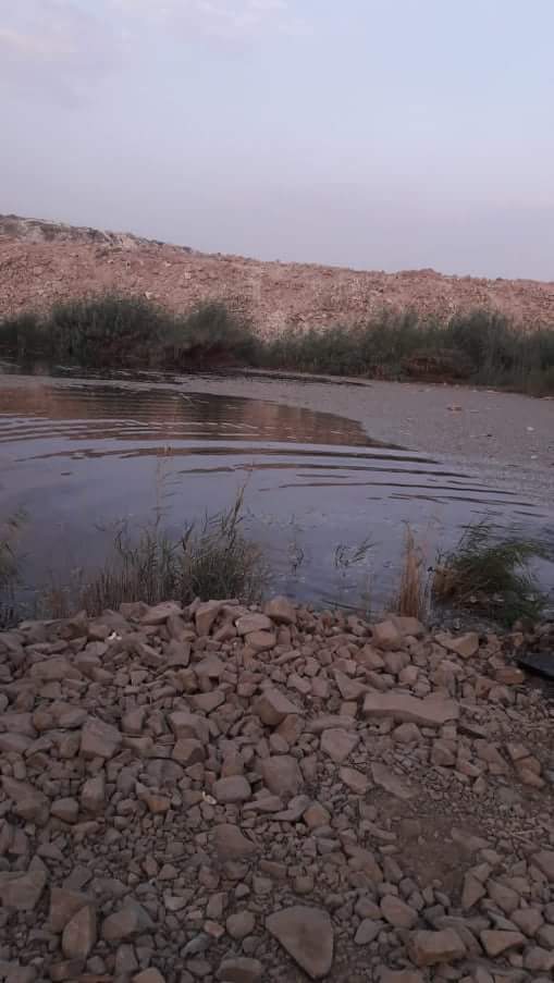 رفع الأسماك النافقة ببحيرة عرب العليقات وإعدامها بمدفن صحى (4)