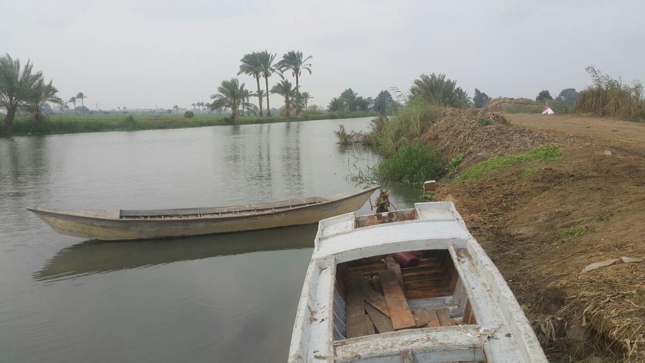 مزارع 3 مزارع 3