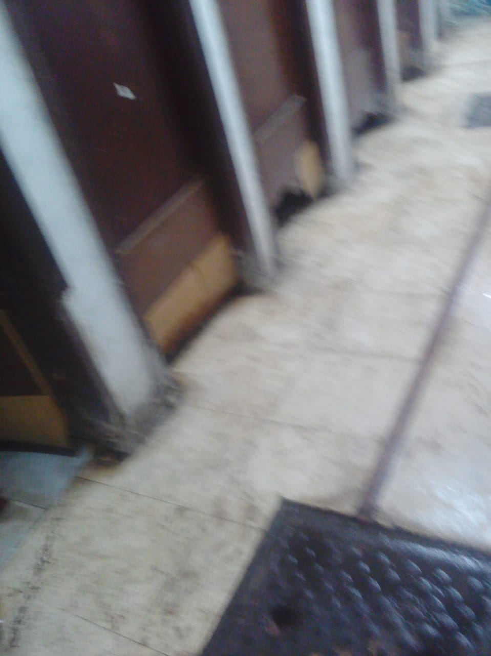 صور من داخل مسجد السيدة عائشة (3)