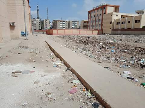 القمامة بشوارع مدينة الدلنجات  (4)