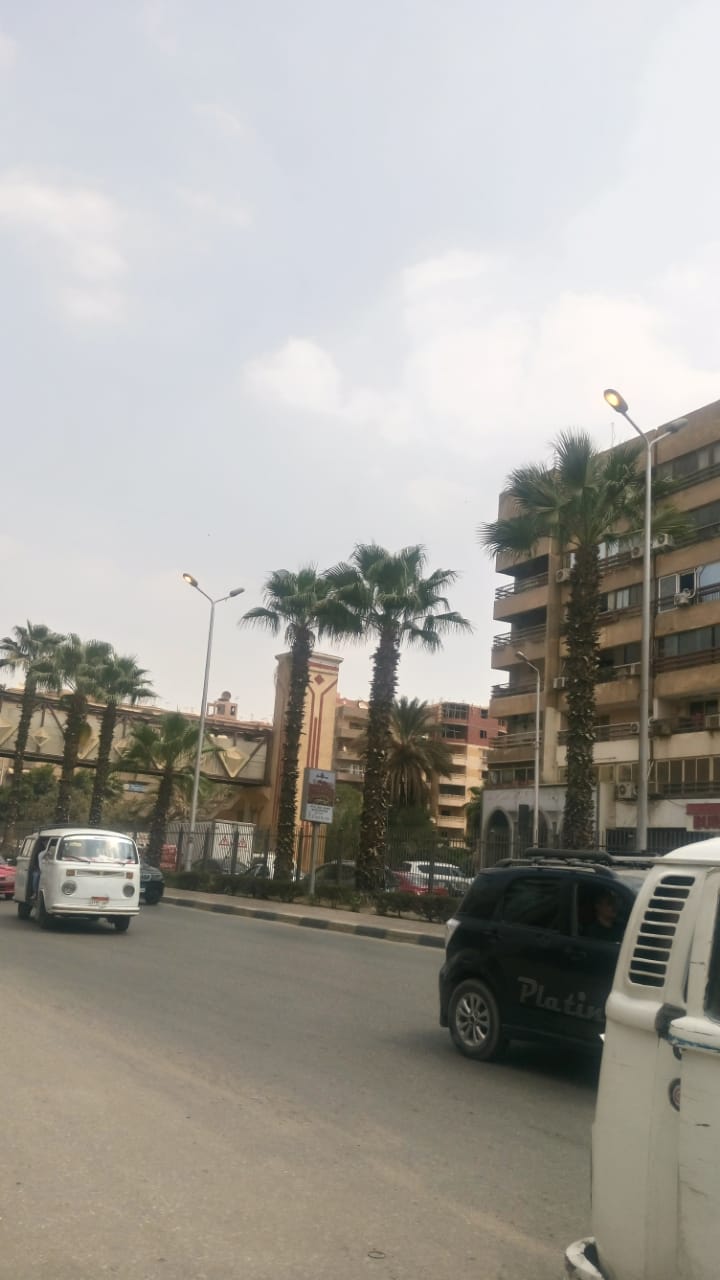 أعمدة الكهرباء مضاءة نهارا بشارع الهرم (2)