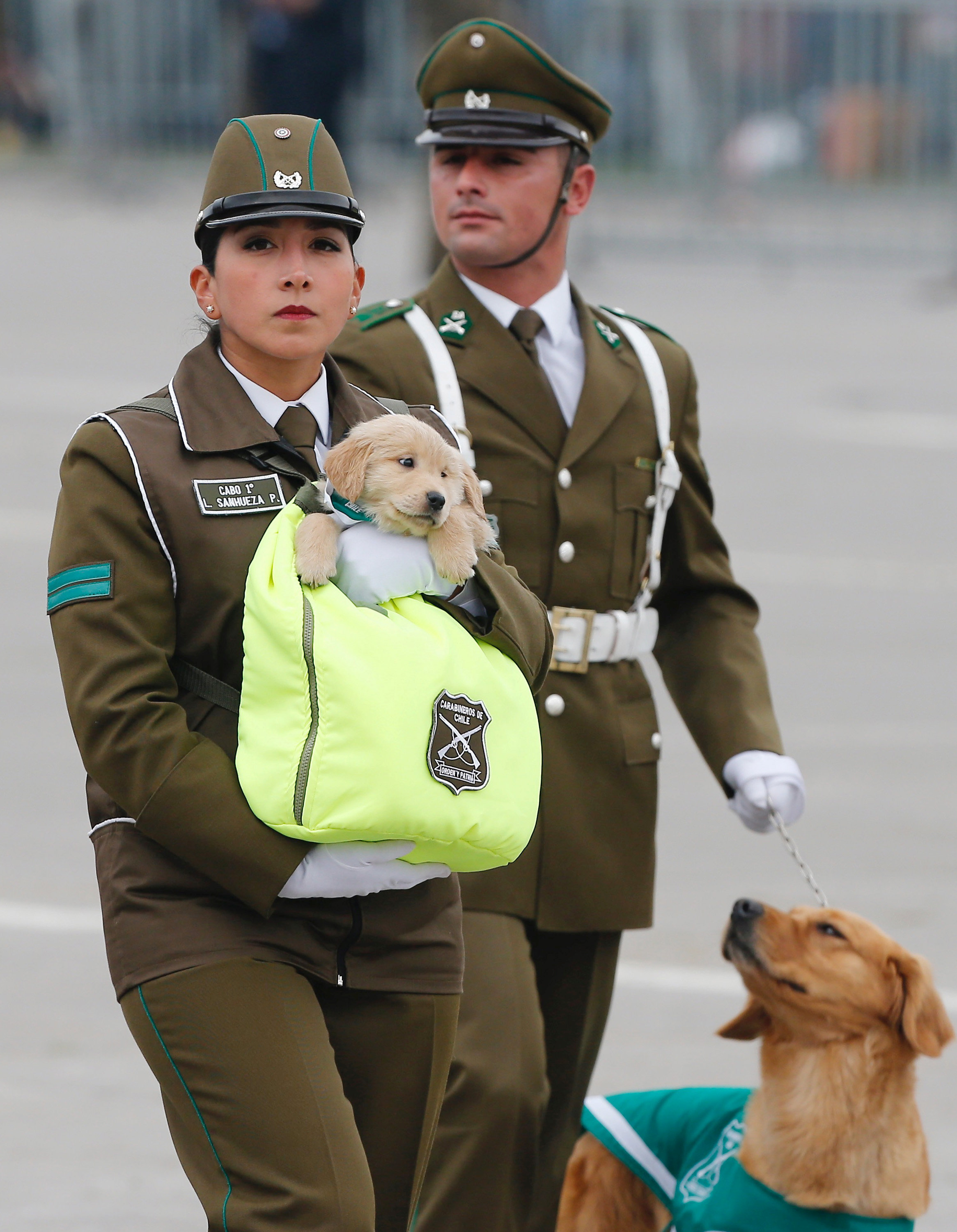 أحد المجندات تحمل الكلاب