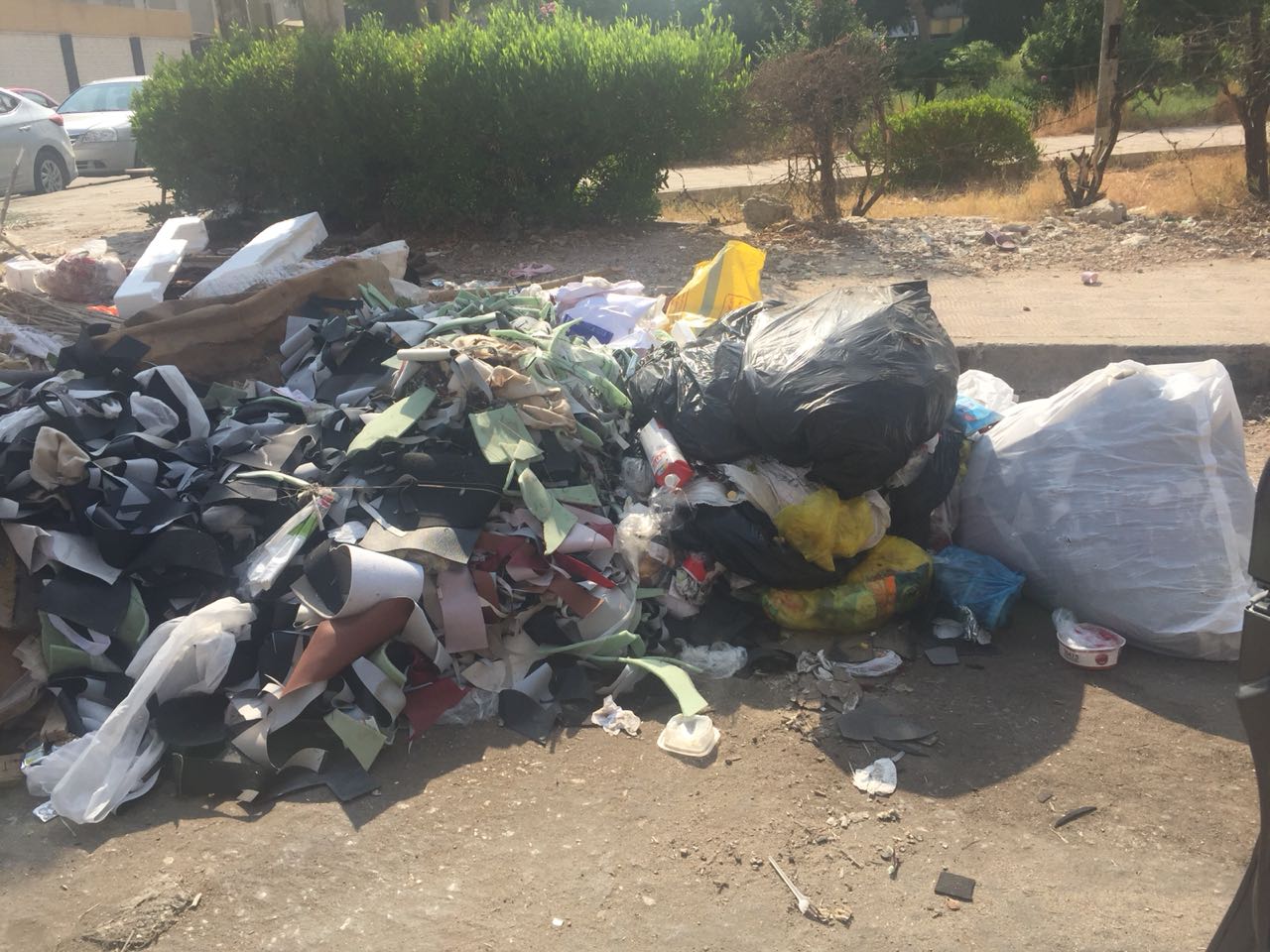 القمامة أمام إحدى المدارس بمدينة نصر (4)