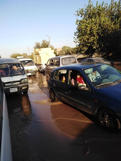 جود مياه الصرف الصحى بمدخل مدينة أبوصوير فى الإسماعيلية (3)