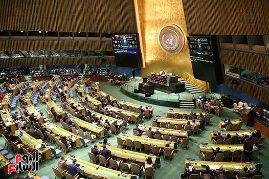 الرئيس السيسى بالامم المتحدة (1)
