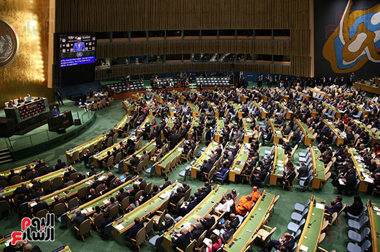 الامم المتحدة (5)