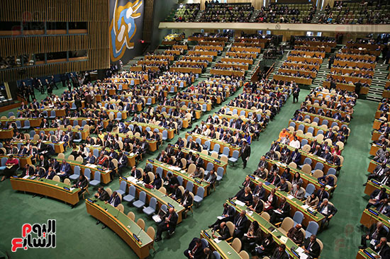 الامم المتحدة (4)