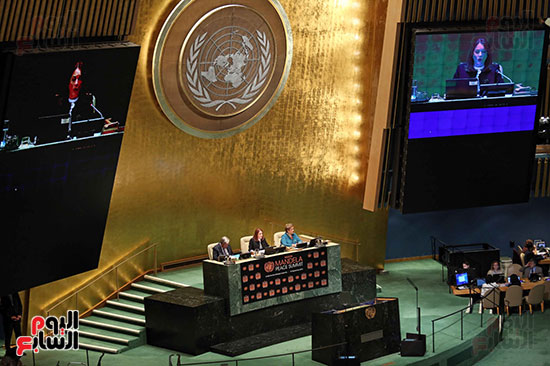 الامم المتحدة (8)