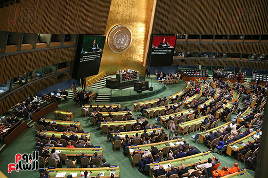 الامم المتحدة (3)