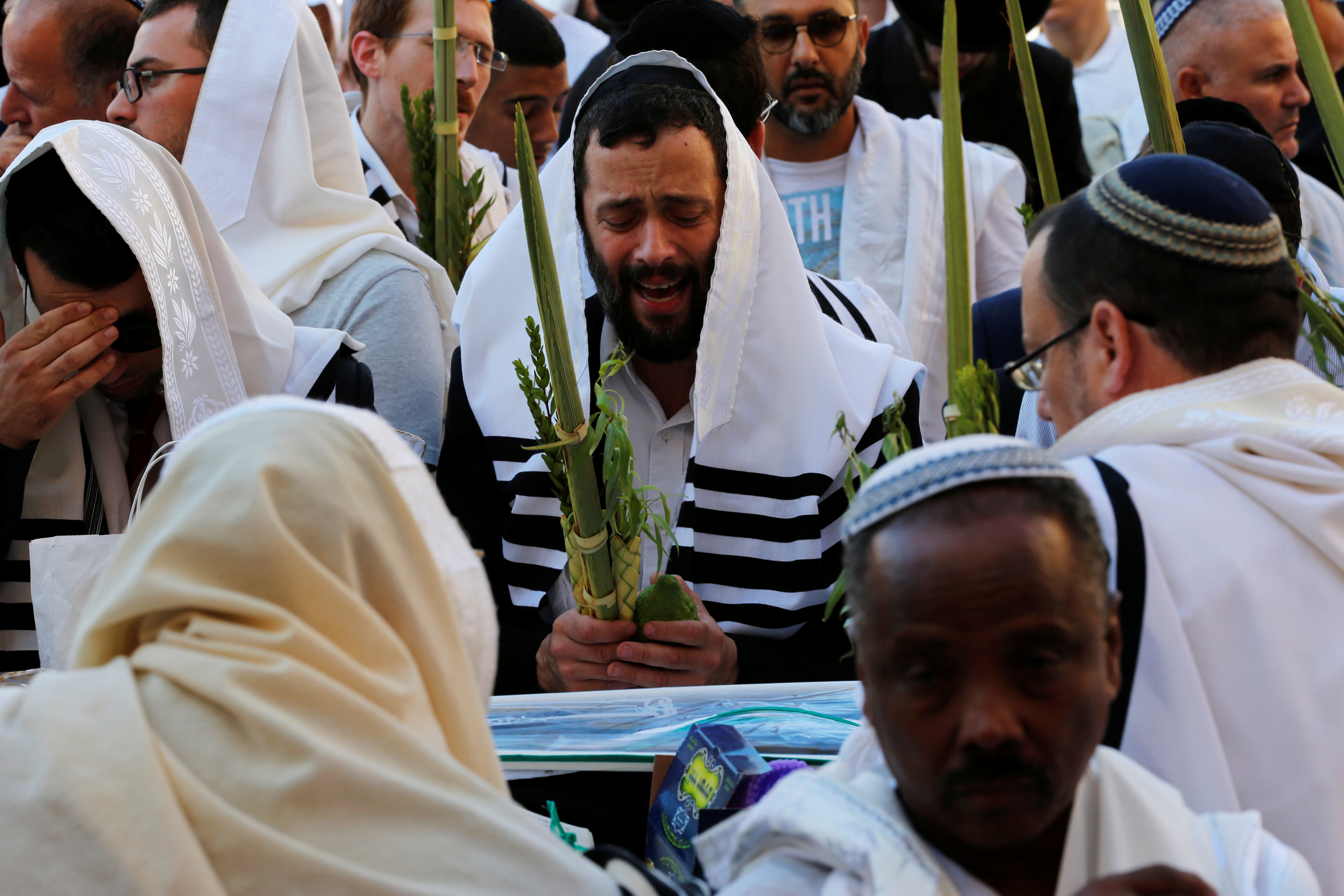 يهود يحملون فروع الأشجار احتفالا بسكوت