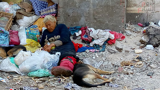 سيدة-تعيش-وسط-الكلاب-الضالة-وتأكل-وتشرب-من-القمامة-ببورسعيد-(4)
