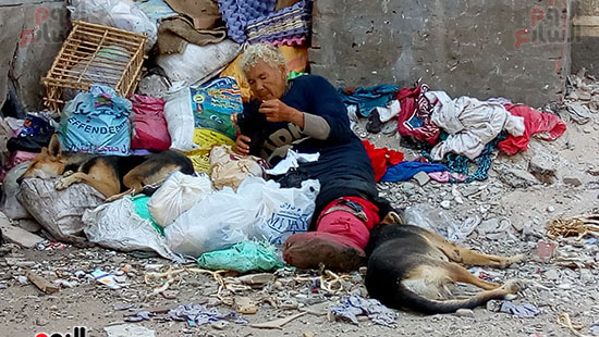 سيدة-تعيش-وسط-الكلاب-الضالة-وتأكل-وتشرب-من-القمامة-ببورسعيد-(5)