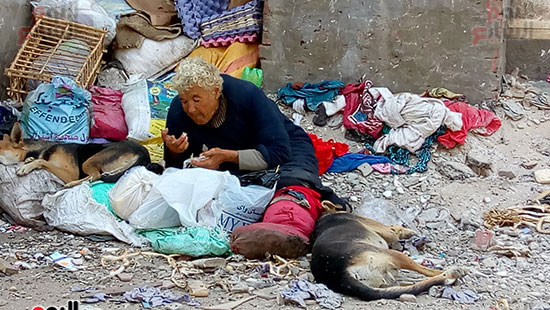 سيدة-تعيش-وسط-الكلاب-الضالة-وتأكل-وتشرب-من-القمامة-ببورسعيد-(6)