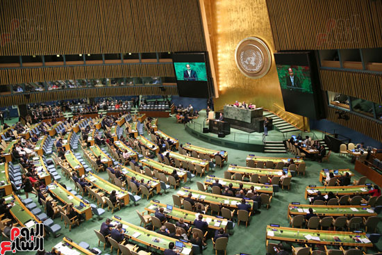 الرئيس السيسى بالأمم المتحدة (12)