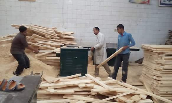 تعليم القليوبية تطلق أكبر مشروع للتخلص والاستفادة من الرواكد الخشبية بالمدارس  (5)
