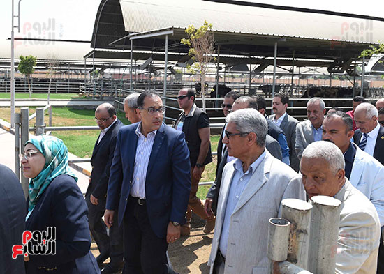 صور رئيس الوزراء عن تطوير محطة الألبان بقنا (8)