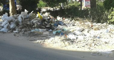 القمامة بشارع الوزير بمحرم بك فى الإسكندرية