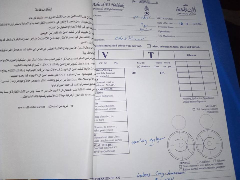 تقرير بحالة امل تقرير بحالة امل