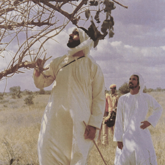 الشيخ زايد يتفقد أحد أنواع الأشجار فى السودان