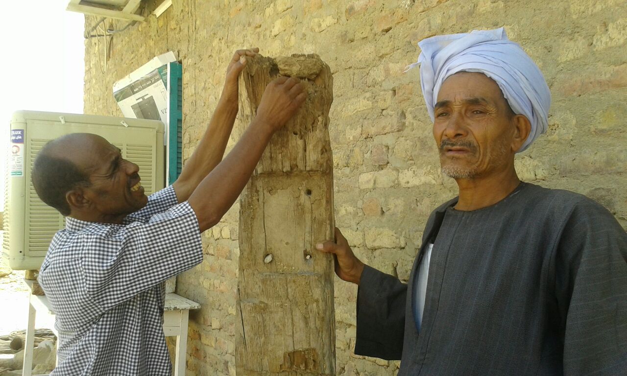 علاج 80 وحدة مصابة بالنمل الابيض فى محافظة اسوان  (2)