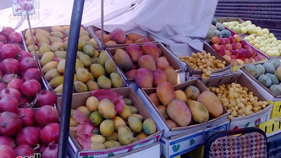 صور أسعار الفاكهة (9)
