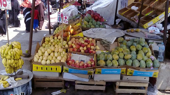 صور أسعار الفاكهة (4)