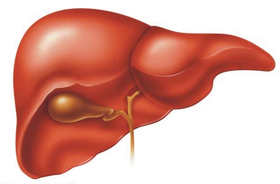 اعراض تليف الكبد 5