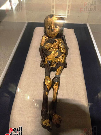 افتتاح معرض إعادة اكتشاف الموتى بالمتحف المصرى -  (28)