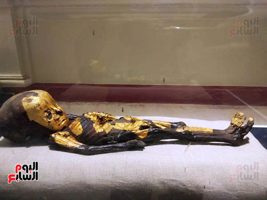 افتتاح معرض إعادة اكتشاف الموتى بالمتحف المصرى -  (29)