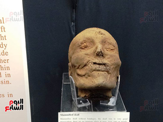 افتتاح معرض إعادة اكتشاف الموتى بالمتحف المصرى -  (31)