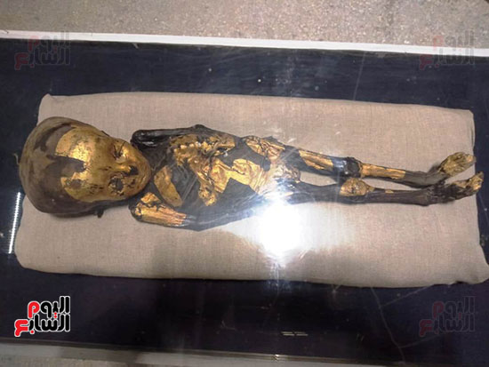 افتتاح معرض إعادة اكتشاف الموتى بالمتحف المصرى -  (30)