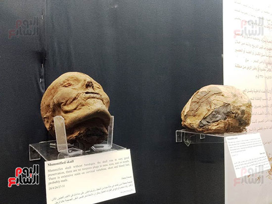افتتاح معرض إعادة اكتشاف الموتى بالمتحف المصرى -  (4)