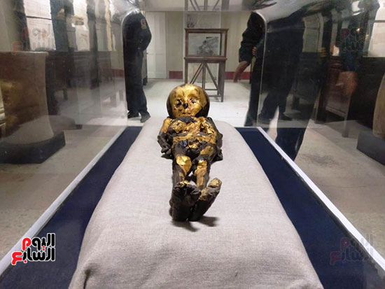 افتتاح معرض إعادة اكتشاف الموتى بالمتحف المصرى -  (26)