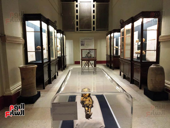 افتتاح معرض إعادة اكتشاف الموتى بالمتحف المصرى -  (32)