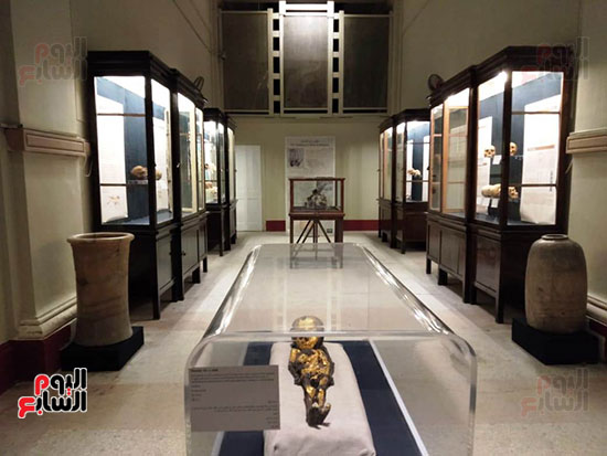 افتتاح معرض إعادة اكتشاف الموتى بالمتحف المصرى -  (25)