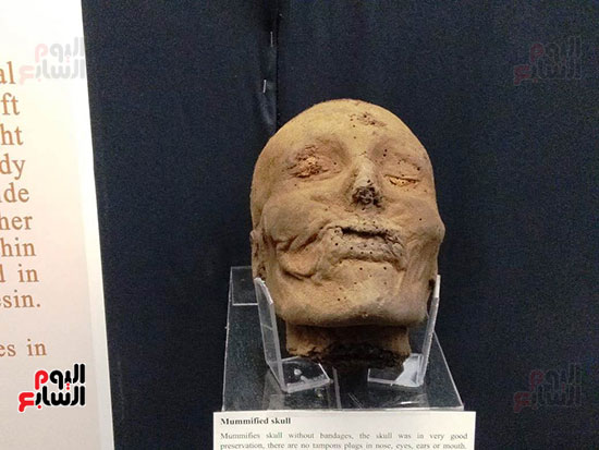 افتتاح معرض إعادة اكتشاف الموتى بالمتحف المصرى -  (10)
