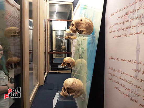 افتتاح معرض إعادة اكتشاف الموتى بالمتحف المصرى -  (16)